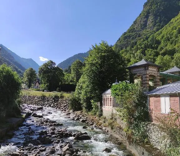 Ceriflor-le Vignemale